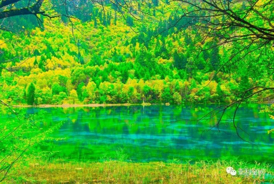 权力与纷争