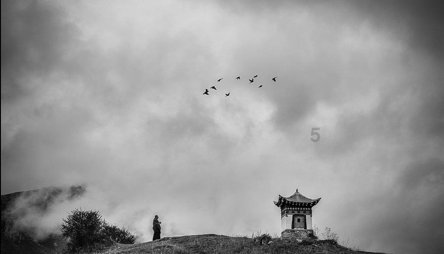 逃出无人荒岛